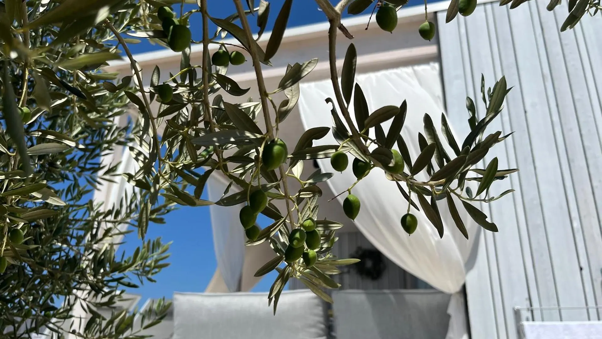 Buqez Eco Resort - Beach Villas 2 And 8 - Seaview, New Wifi! Drage 0*,  Croatia